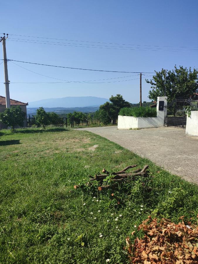 Вілла La Casa De Vacation Лафкос Екстер'єр фото
